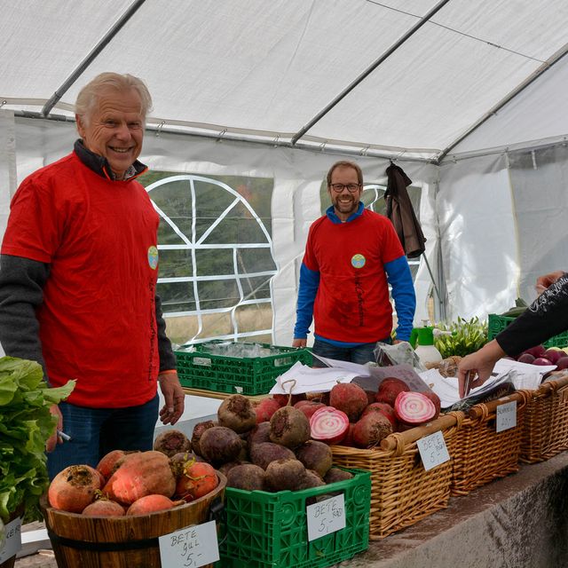Utsalg av grønnsaker på eplefestivalen