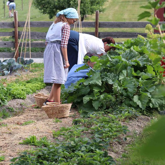 Tidsreisen i kjøkkenhagen