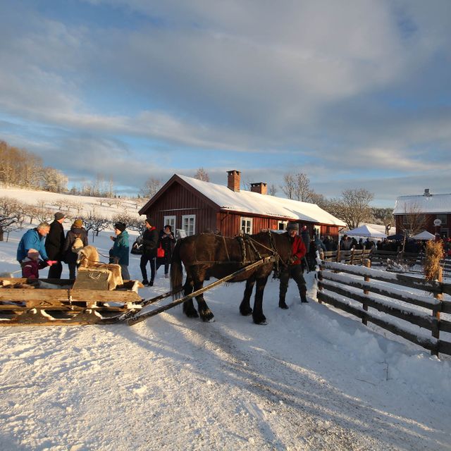 Vinter på Lier bygdetun med hest og slede