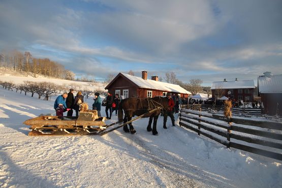 Vinter på Lier bygdetun med hest og slede